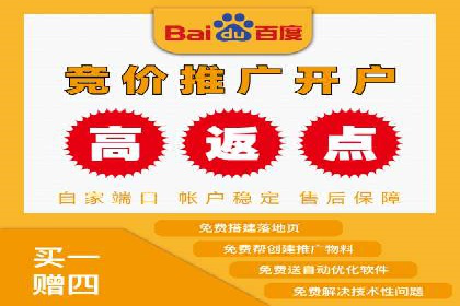 行业领先企业的信息流竞价策略揭秘